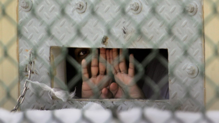 Guantanamo Hunger Strike2.jpg